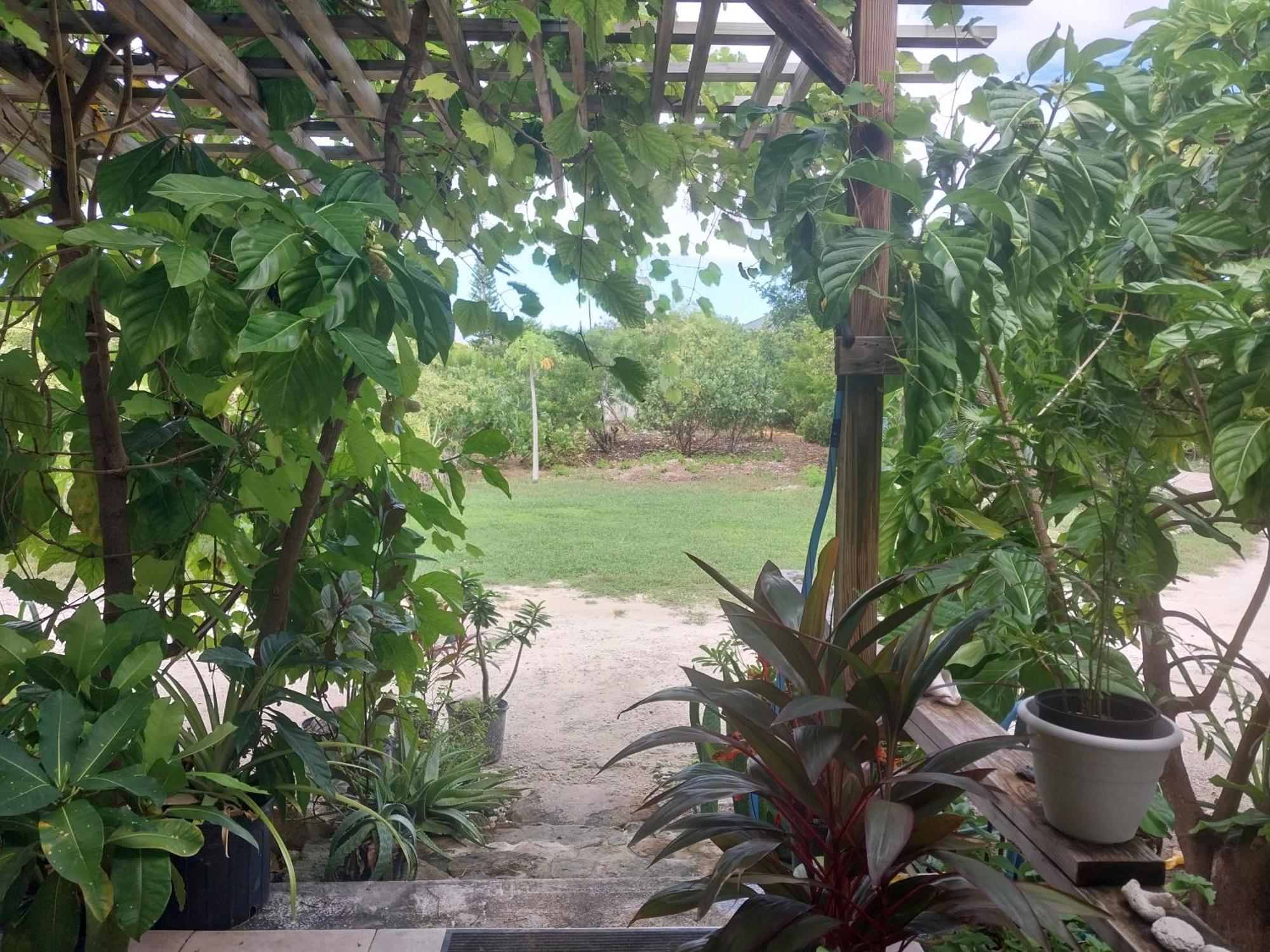 Private Guest House 2 Bedrooms & 2 Baths Near Grace Bay Beach & Long Bay Beach. Exterior photo